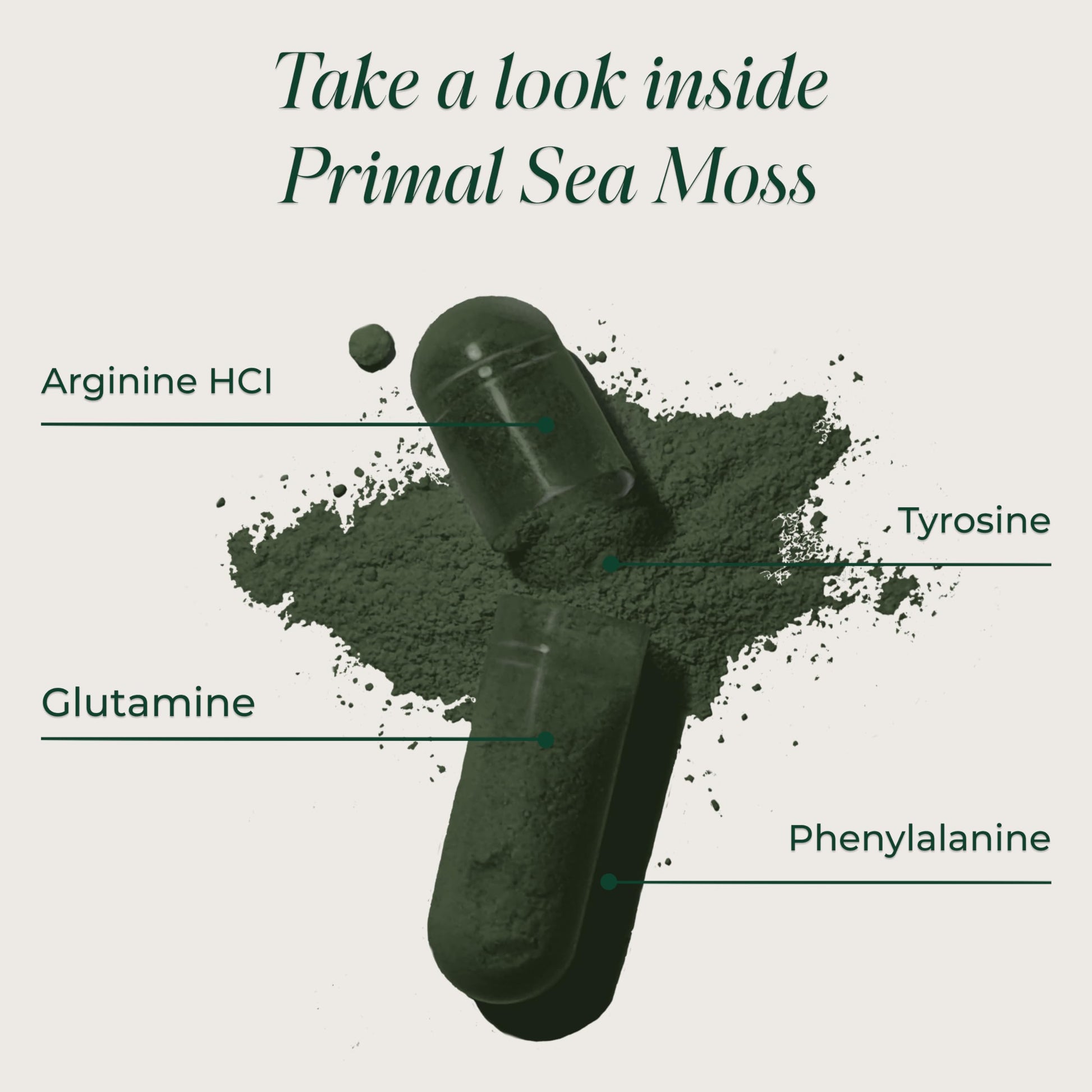 Primal Harvest Sea Moss Capsules with Bladderwack and Irish Sea Moss, Chlorella, Broccoli Seed Extract Plant-Based Supplements for Adults Primal HarvestBuy Supplements Australia