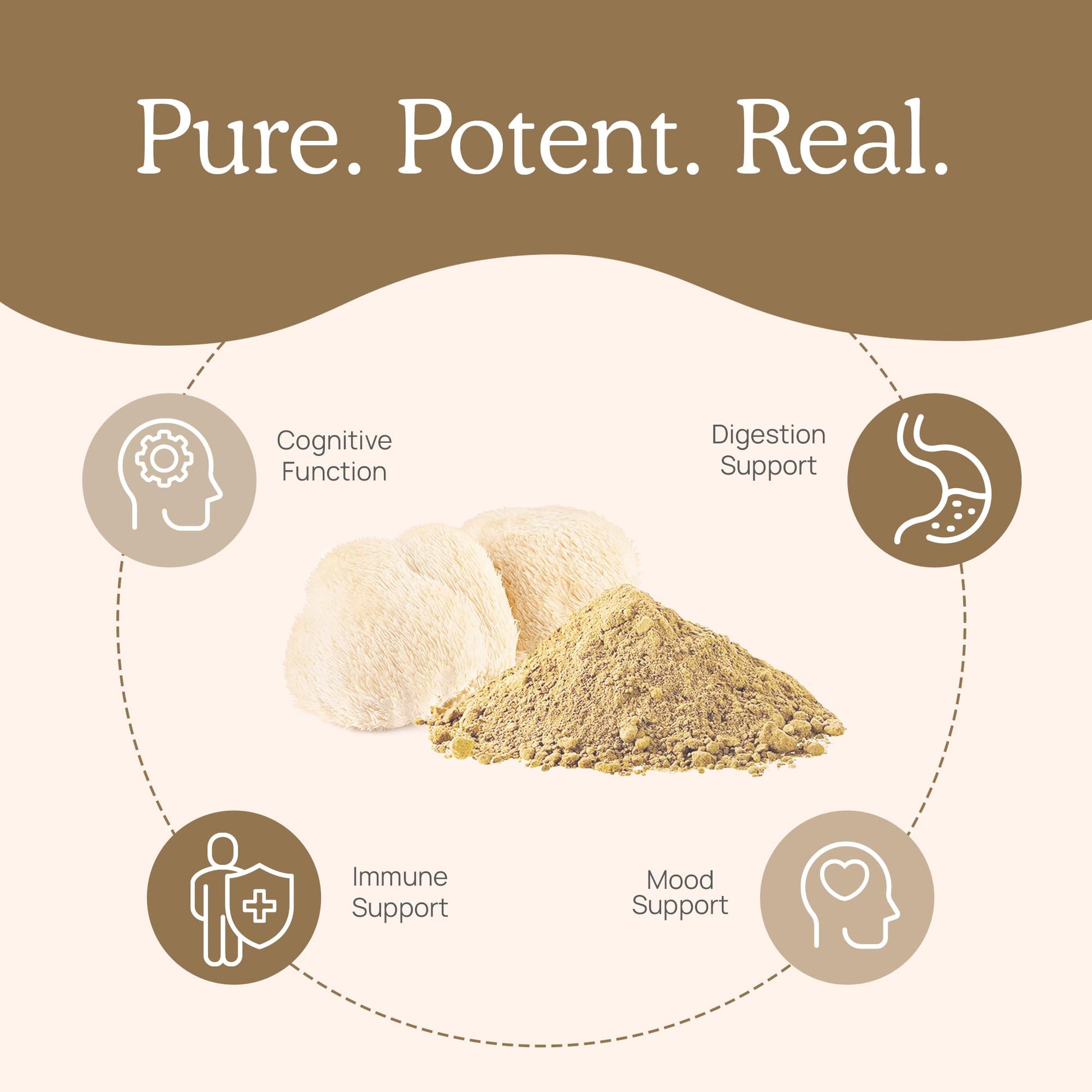 Real Mushrooms Lion’s Mane Capsules - Organic Lions Mane Mushroom Extract Real MushroomsBuy Supplements Australia