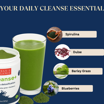 Ocean's Balance Seacleanse+ Daily Detox Cleanse Powder | Gut Health & Immune Support | Supports Gentle Cleanse & Vitality | 8oz Ocean's Balance Clean Taste of MaineBuy Supplements Australia