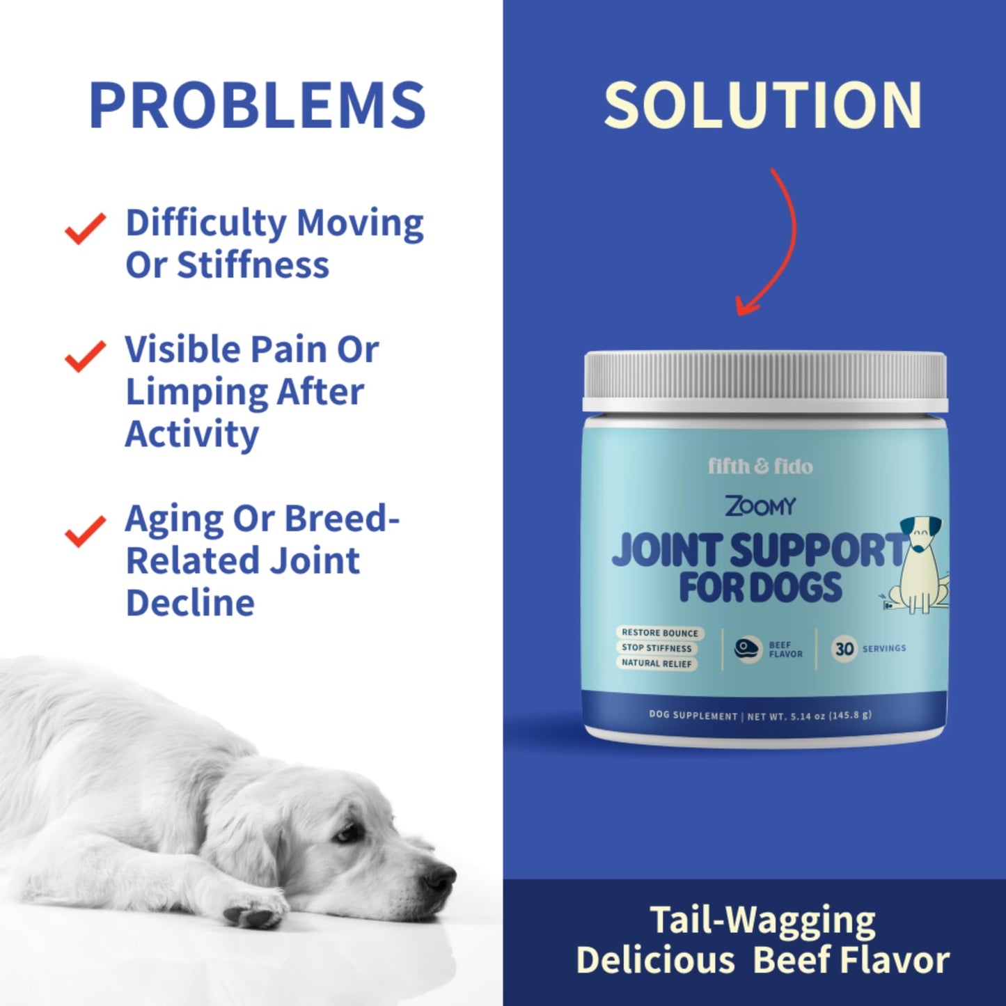 Fifth & Fido Joint Supplement for Dogs - Glucosamine for Dogs - Pet Vitamins and Supplements Powder with Chondroitin & MSM - Hip & Joint Support for Mobility, Stiffness & Flexibility - Mushroom Blend Fifth & FidoBuy Supplements Australia
