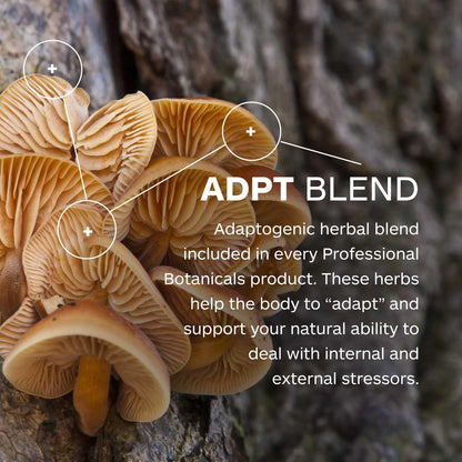 Professional Botanicals Calm Attention - Natural Attention and Mood Support, Rosemary, Vitamin B6, Gotu Kola, Focus, Relaxation, and Concentration Aid - 60 Veg Capsules Professional BotanicalsBuy Supplements Australia