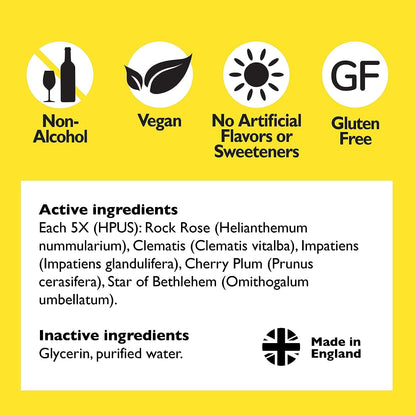 Bach RESCUE Remedy Dropper 20mL Bundle, Non-Alcohol Formula, Natural Stress Relief, Homeopathic RESCUEBuy Supplements Australia