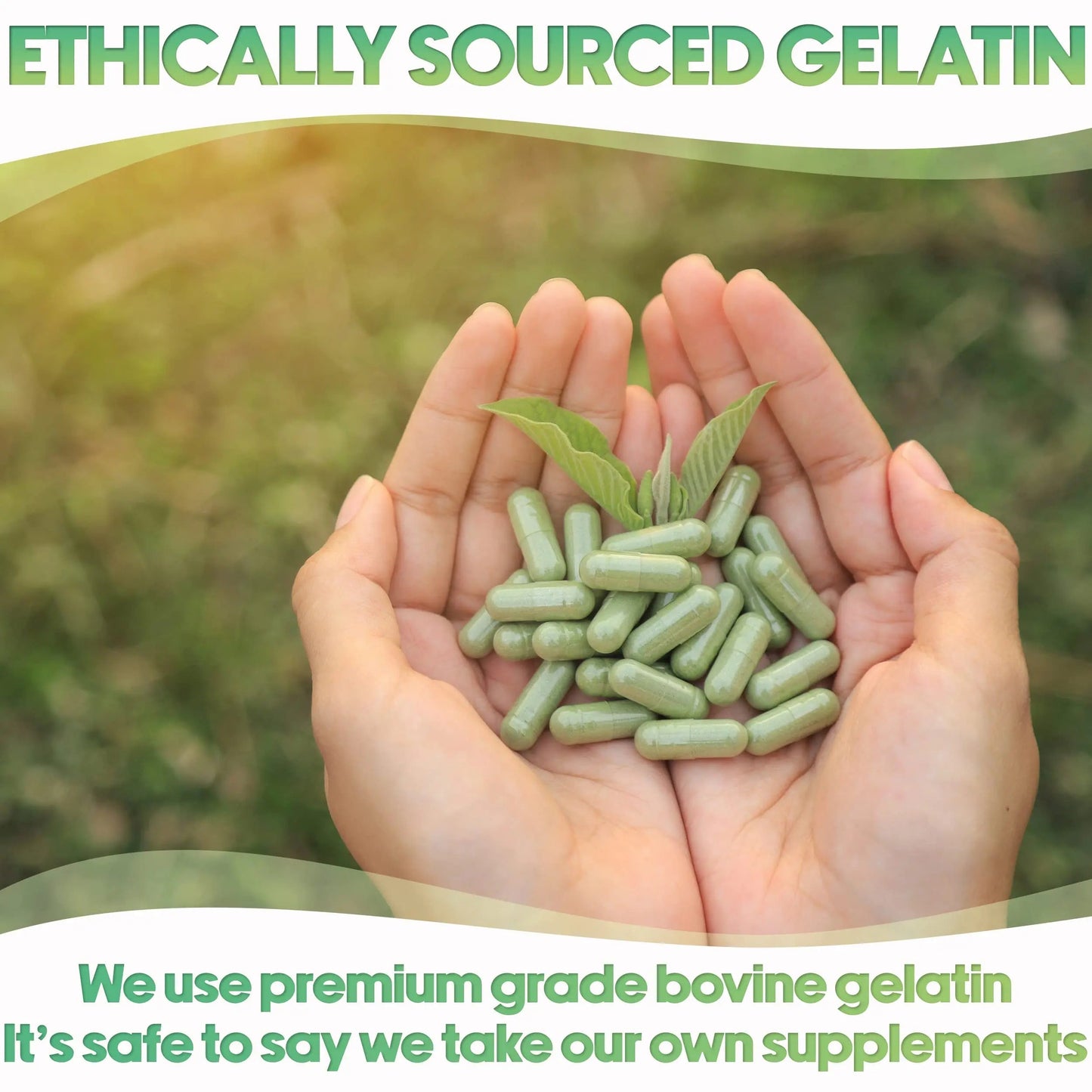 XPRS Nutra Size 3 Empty Capsules - 500 Count Empty Gelatin Capsules - Pills DIY Capsule Filling - Pure Bovine Pill Gel Caps Fillable XPRS NutraBuy Supplements Australia