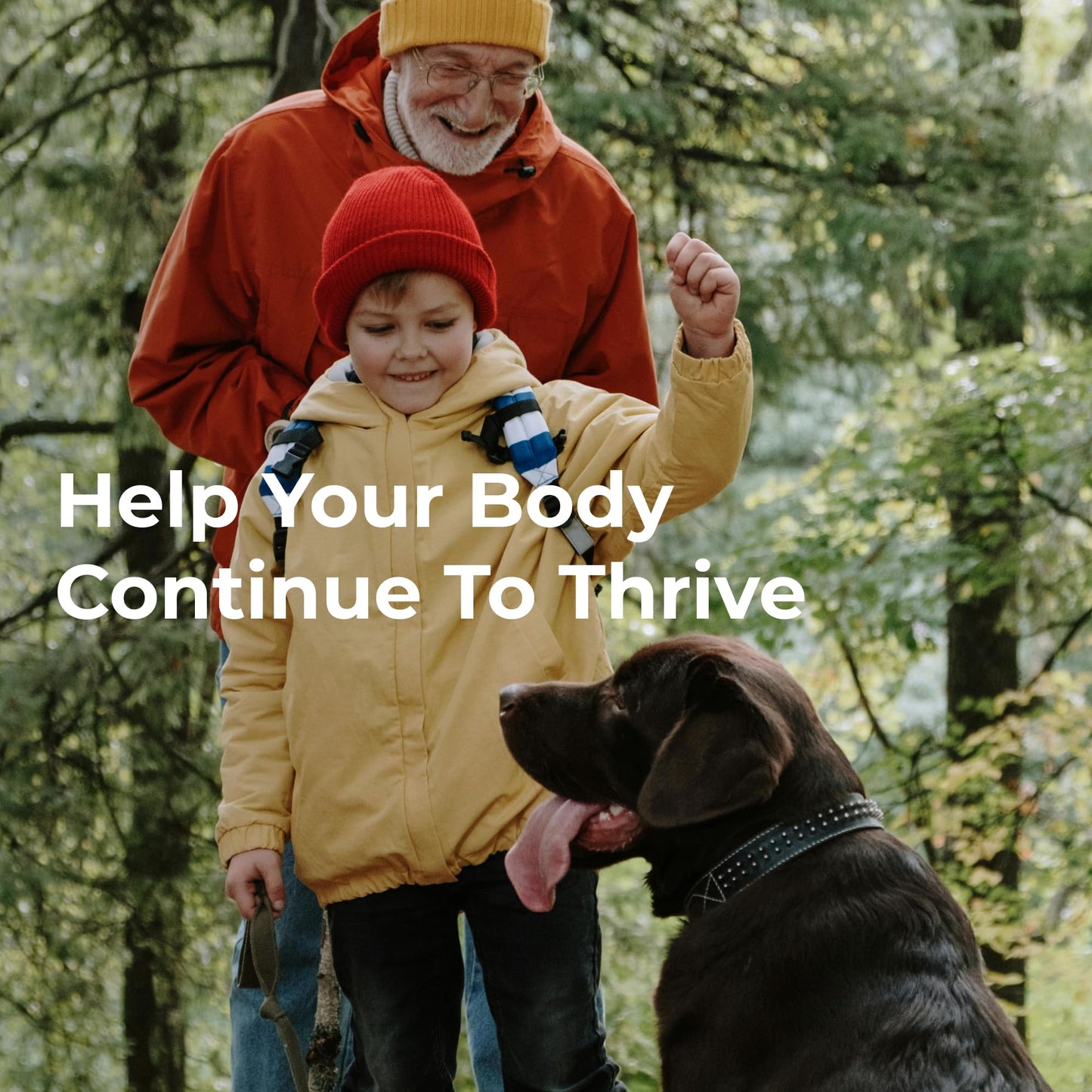Youngevity On-The-Go Healthy Body Start Pak 2.0 - Includes Multi-Vitamins, Minerals, EFAs, & Amino Acids | 90 Essential Nutrients | 30-Day Supply YoungevityBuy Supplements Australia