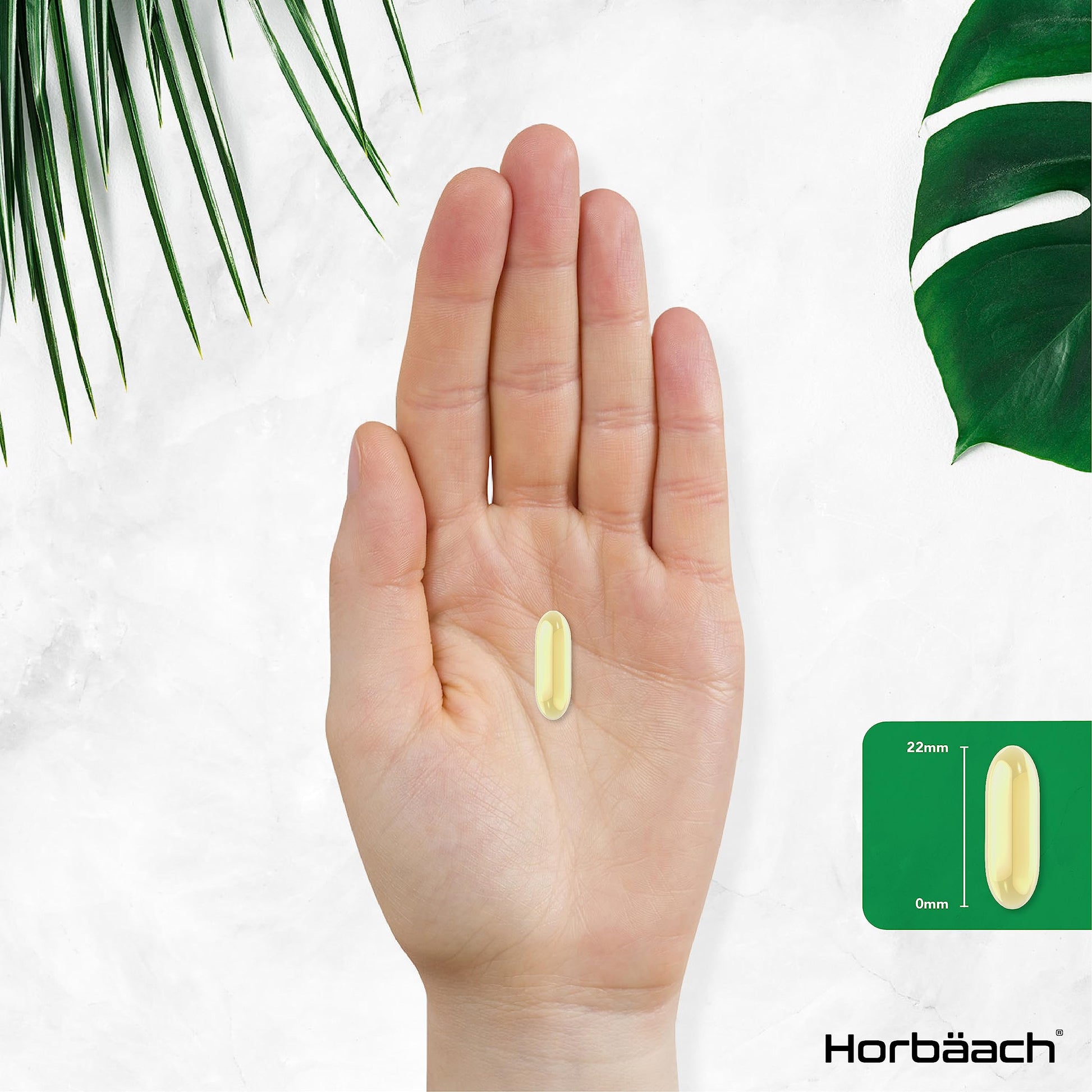 Vitamin E Capsules 1000iu | 200 Count | High Strength Vitamin E as DL-Alpha Tocopheryl HorbäachBuy Supplements Australia