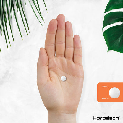Vitamin B1 Thiamine High Strength 100mg | 120 Vegan Tablets | No Artificial HorbäachBuy Supplements Australia