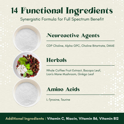 Rootful Mind Alpha Focus Nootropic - Memory and Focus Brain Booster Supplement with Choline, Citicoline, GPC, L-Tyrosine, Bacopa Monnieri, DMAE, Gingko Biloba, Lion's Mane, Niacinamide - 60 Capsules Rootful MindBuy Supplements Australia