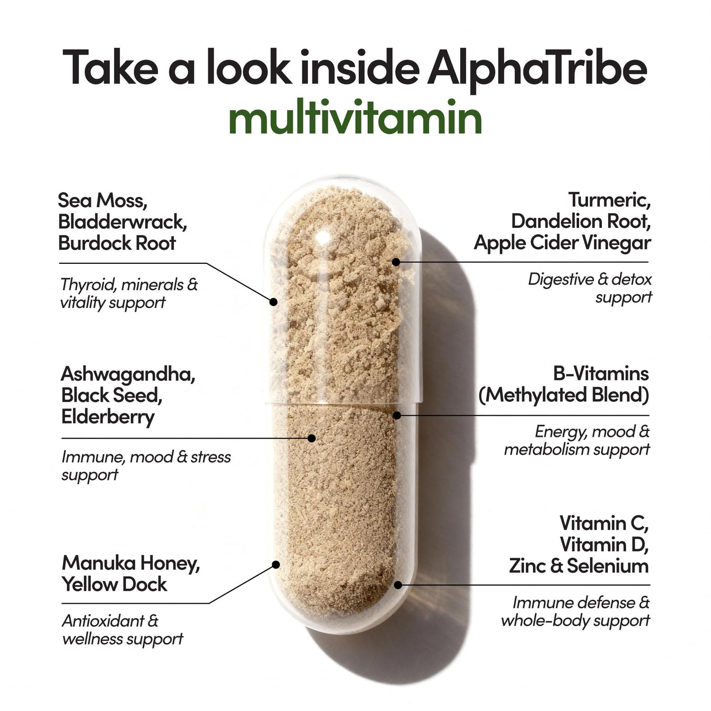 Alpha Tribe Multivitamin for Men & Organizer w/Seamoss Black Seed Oil Ashwagandha Burdock Root Turmeric Bladderwrack Vitamin C | Daily Men's Vitamins & Minerals Supplement | 60 Count Alpha TribeBuy Supplements Australia