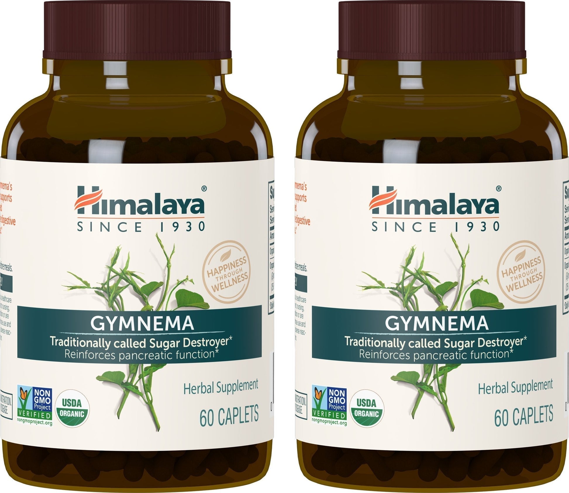 Himalaya Organic Gymnema Sylvestre for Glucose Metabolism, 700 mg HimalayaBuy Supplements Australia