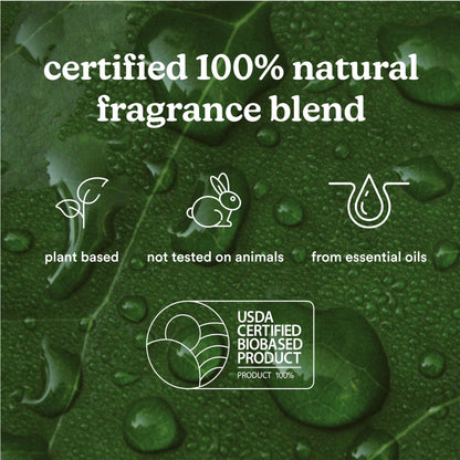 Homedics SereneScent Moroccan Magic Fragrance Oil Bottle, 120 ml, Clean & Natural, Fruity & Woody HomedicsBuy Supplements Australia