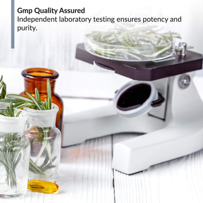 BioTrust OmegaKrill EPA & DHA Omega 3 Supplement, Fish and Krill Oil to Provide Bio TRUSTBuy Supplements Australia