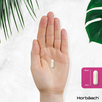 Inositol Supplement for PCOS | 120 Vegan Capsules | Myo-Inositol Complex with Folic Acid HorbäachBuy Supplements Australia