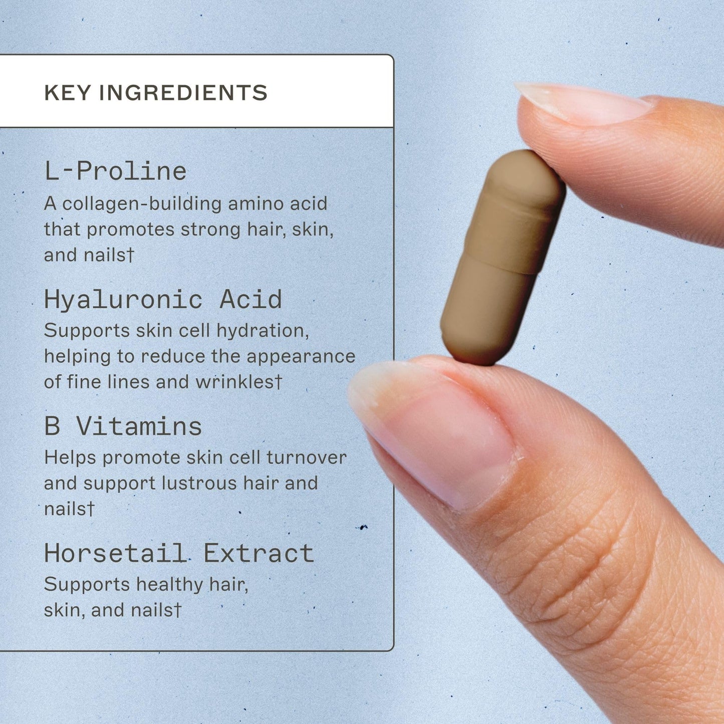 Amy Myers MD Hair Skin and Nails - Supports Strong Hair, Radiant Skin & Healthy Nails - L-Proline, Horsetail, Hyaluronic Acid - Gluten-Free - 120 Capsules (30 Servings) Amy Myers MDBuy Supplements Australia