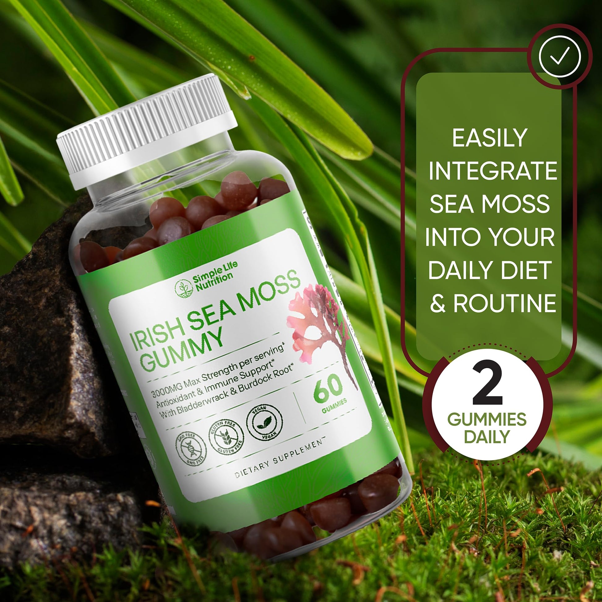 Simple Life Nutrition Organic Irish Sea Moss Gummies - Burdock Root and Bladderwrack Natural Blend - Immune System Gut Cleanse & Thyroid Supplement - Skin and Nail Health - 60CT Simple Life NutritionBuy Supplements Australia