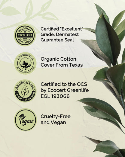 LABON Premium Vegan Organic Sanitary Pads (Regular, 25cm, 32 Counts) - 100% Organic Cotton Cover OCBONBuy Supplements Australia