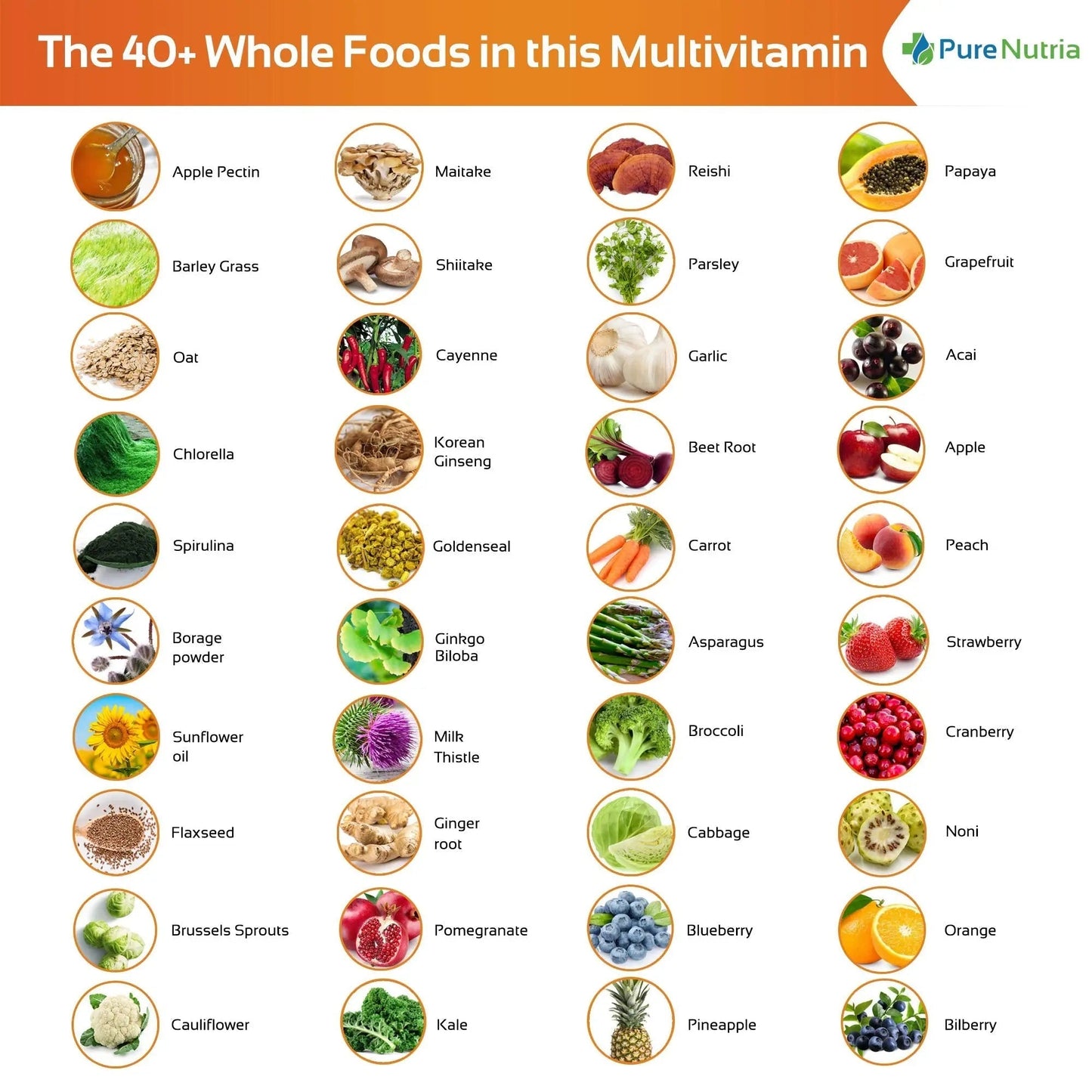 Whole Food MultiVitamin and Minerals with Probiotic Enzymes - 120 Multivitamins for Women and Men - Packed with WholeFood and Herbal Ingredients PureNutria