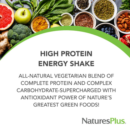 NaturesPlus FRUITEIN Revitalizing Green Foods Shake - 1.3 lbs - Plant-Based Protein (13g/Serving) - Supports Energy & Immune System - Vegetarian, Gluten Free & Non-GMO - 16 Servings NaturesPlusBuy Supplements Australia