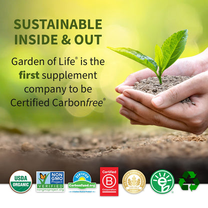 Garden of Life Meal Replacement Vanilla Chai Powder, 14 Servings