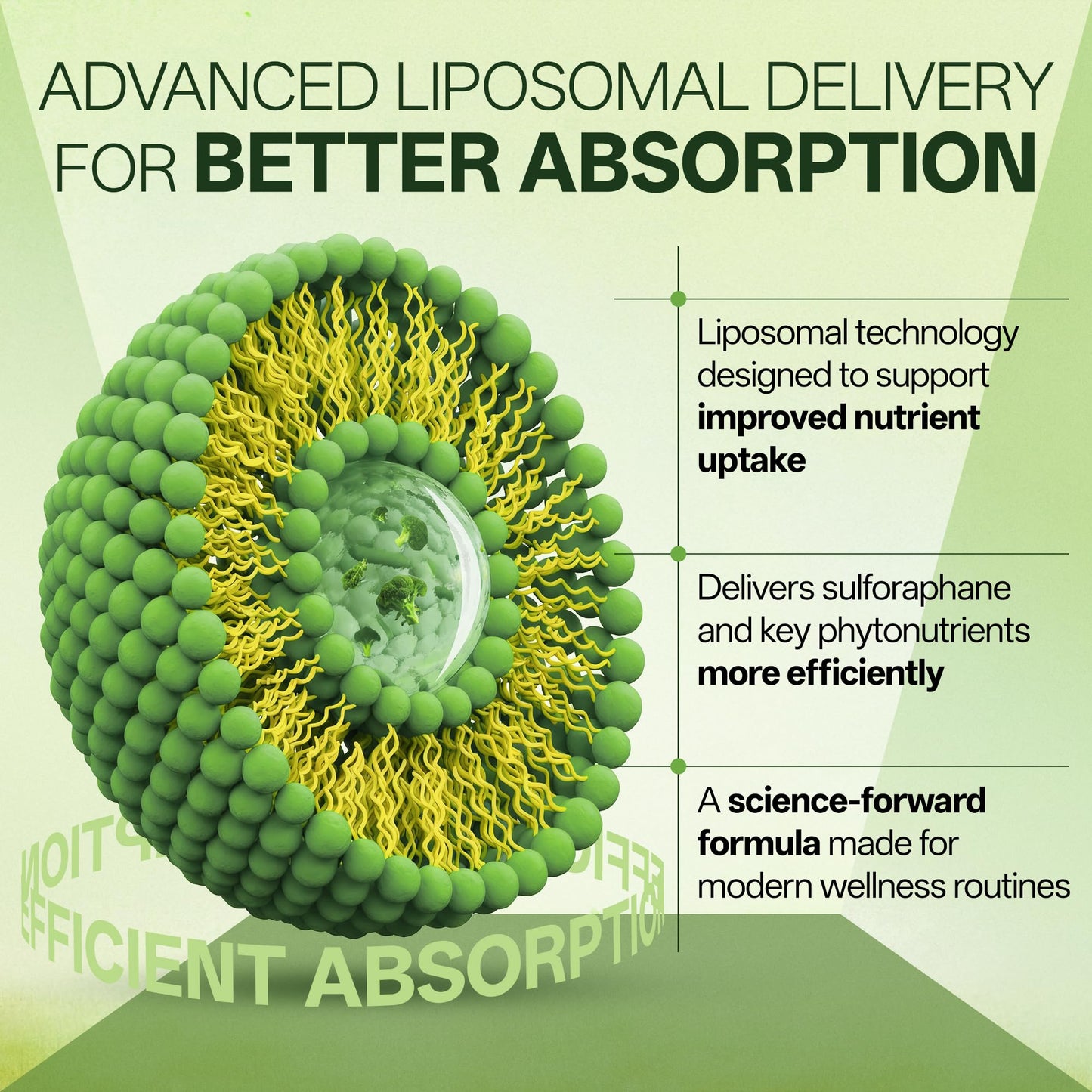 Liposomal Sulforaphane 500mg Supplement from Broccoli Extract with Quercetin, Black Pepper & Vitamin C – Antioxidant, Detox & Cellular Support, Cellular Health Formula for Men & Women, 60 Capsules inGreensBuy Supplements Australia