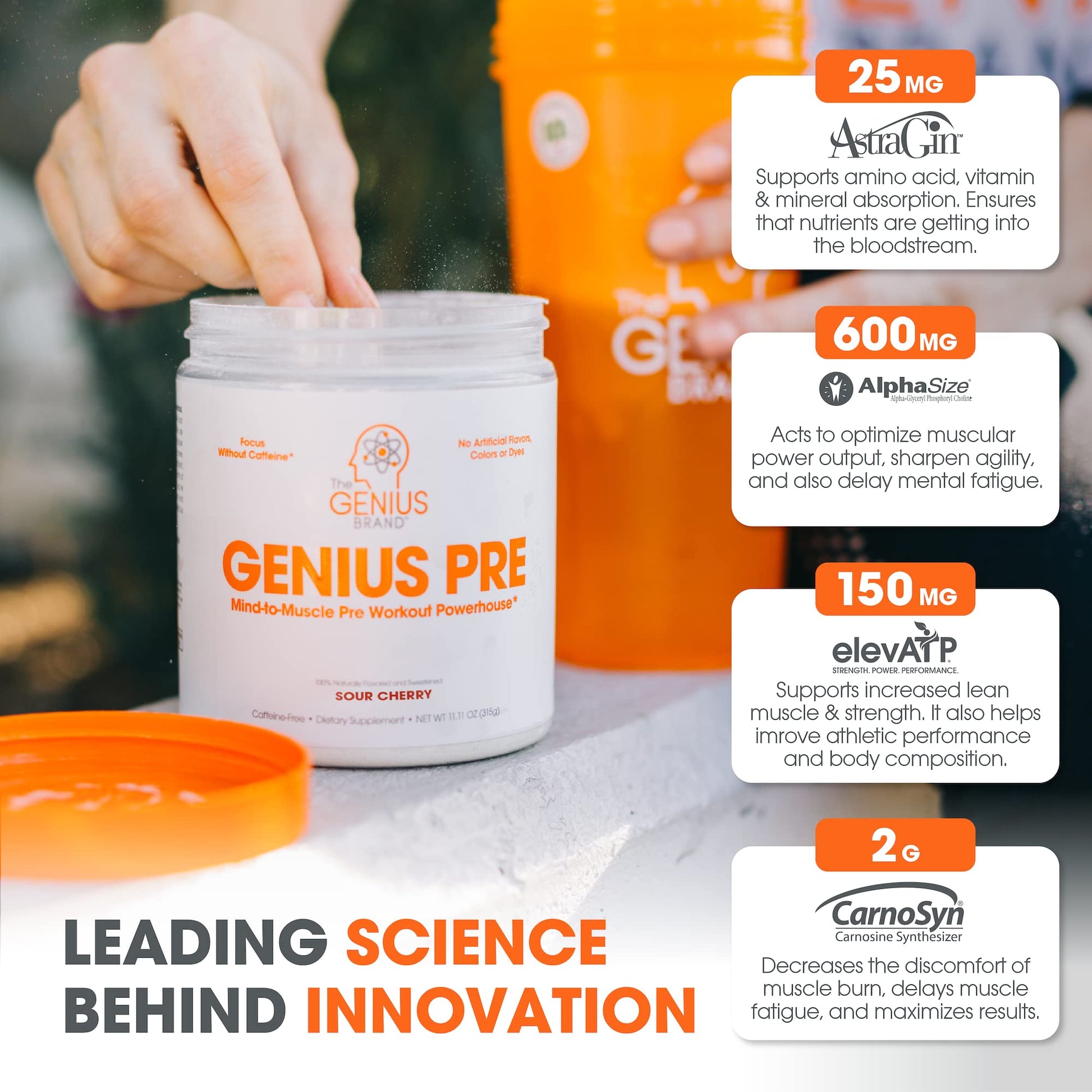 Genius Pre Workout Powder, Sour Cherry, and Genius Micronized Creatine Monohydrate Powder, Unflavored, All Natural Nootropic Pre Workout and Post Workout Supplement Stack