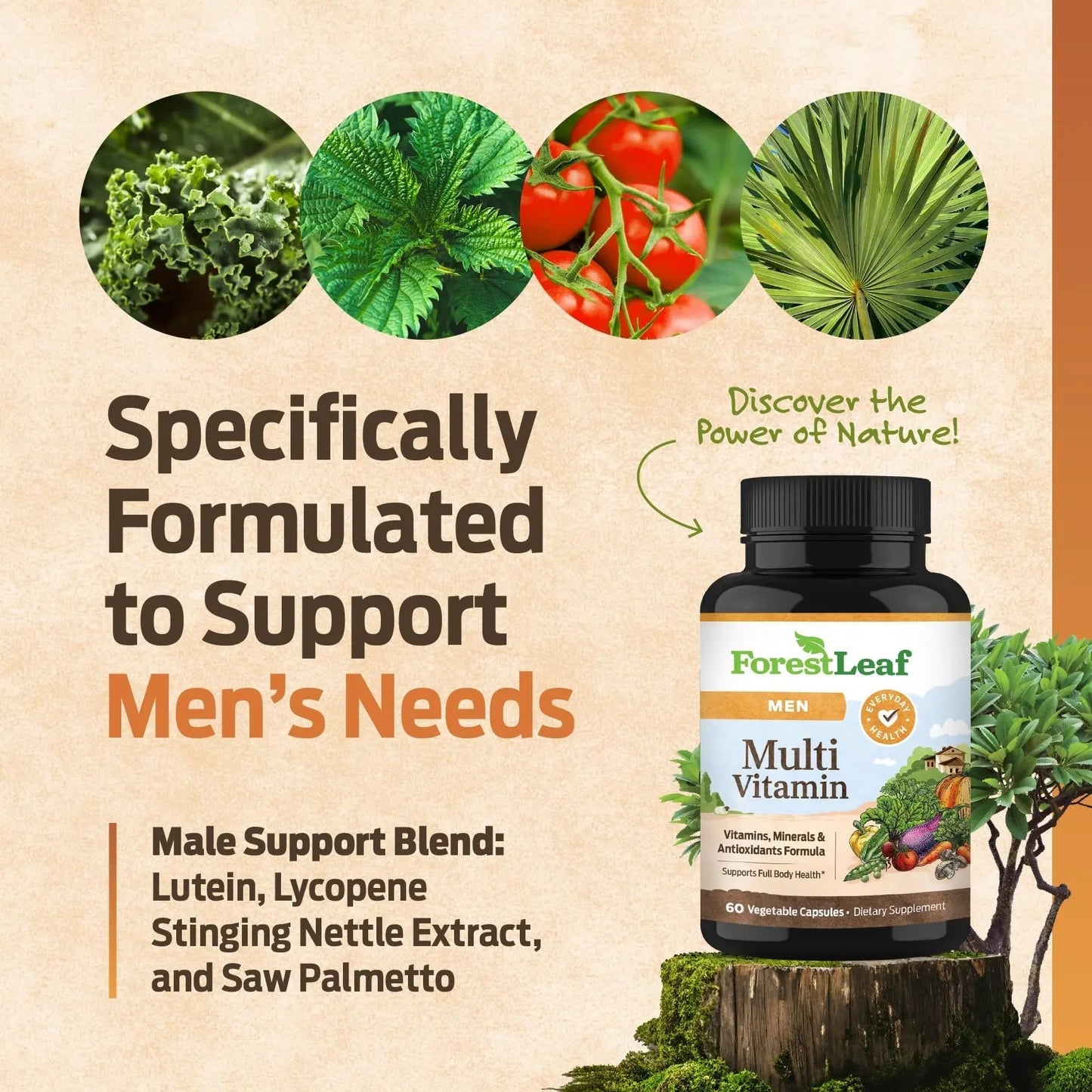 ForestLeaf Daily Vitamin Multivitamin for Men, Multi-Vitamin for Men - Mens Multivitamins & Multiminerals Supplement | ForestLeaf