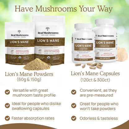 Real Mushrooms Lion’s Mane Capsules - Organic Lions Mane Mushroom Extract Real MushroomsBuy Supplements Australia