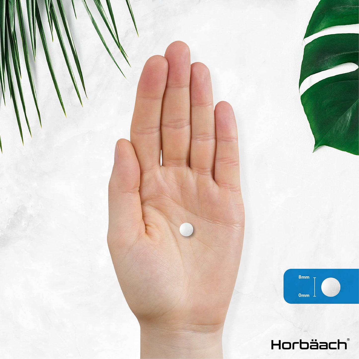 Vitamin B6 100mg | 180 High Strength Tablets | Regulation of Hormonal Activity & Fatigue HorbäachBuy Supplements Australia