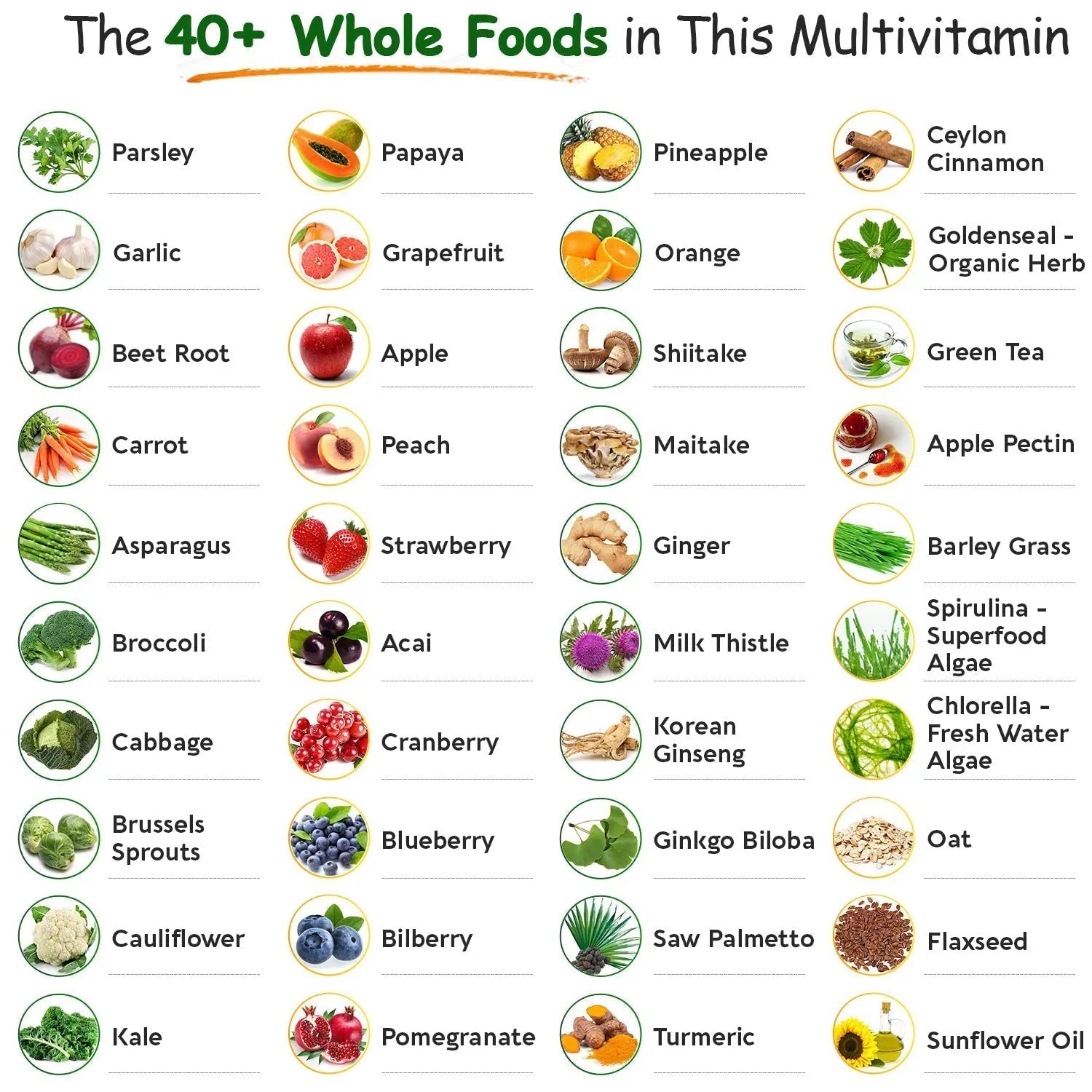 Wholesome Wellness Whole Food Multivitamin for Men - Natural Multi Vitamins, Minerals, Organic Extracts - Vegan Vegetarian - 120 Tablets Wholesome Wellness