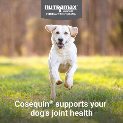 Nutramax Cosequin for Dogs Joint Health Supplement, Contains Glucosamine for Dogs, Chondroitin, MSM and Omega-3s, Supports Joint and Skin and Coat Health, Soft Chews, 60 Count Nutramax LaboratoriesBuy Supplements Australia