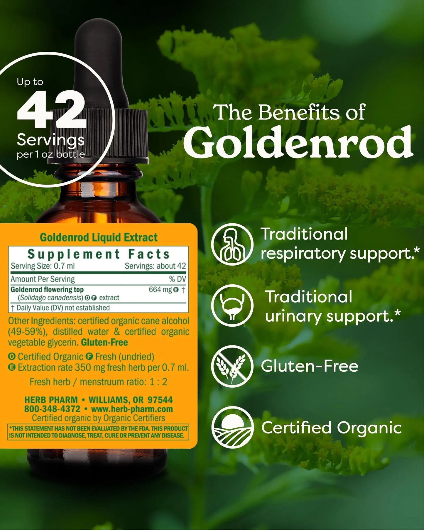 Herb Pharm Certified Organic Goldenrod Liquid Extract for Urinary System Support, 1 Fl Oz (Pack of 1) Herb PharmBuy Supplements Australia