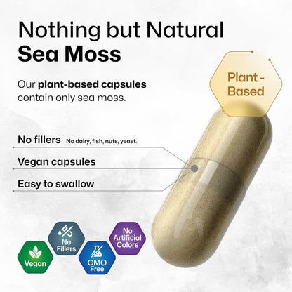 BIO KRAUTER® 2-in-1 Sea Moss for Thyroid Support - Vegan Bladderwrack & Sea Moss Capsules for Women & Men - Natural Сhondrus Сrispus Seaweed Supplement 1600 mg - 125 Days of Supply, Non-GMO BIO KRAUTERBuy Supplements Australia
