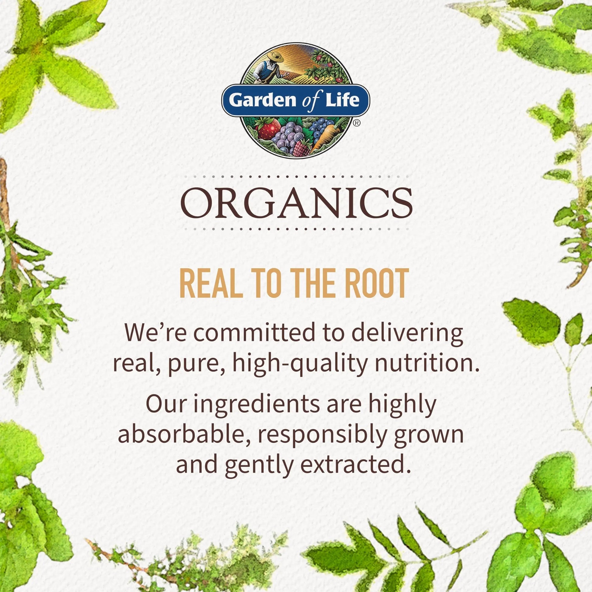 Garden of Life Organics Women’s Prenatal Multivitamin with Vitamin D3, B6, B12, C & Iron, Folate for Energy & Healthy Fetal Development – Organic Garden of LifeBuy Supplements Australia
