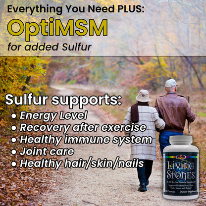 Living Stones, Complete Mineral Supplement with Zinc, Calcium, Magnesium, Selenium, Trace Minerals, No Added Iron, with MSM (Organic Sulfur) and Shilajit, Premium Absorption (30-Day Supply - 180 Caps) 7 LightsBuy Supplements Australia