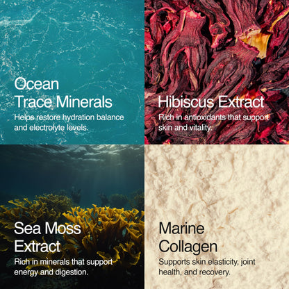 Sea Bloom Labs Marine Collagen Powder Stick Packs with Sea Moss Powder and Electrolytes, Hydration and Beauty Blend - Mango (8-Pack) Sea Bloom LabsBuy Supplements Australia