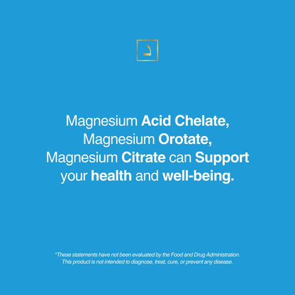 Active Mg Magnesium Supplement – 300mg Elemental Magnesium + Zinc & B Vitamins – Muscle & Nerve Support – 90 Vegan Capsules - Maple Wellness Supplements