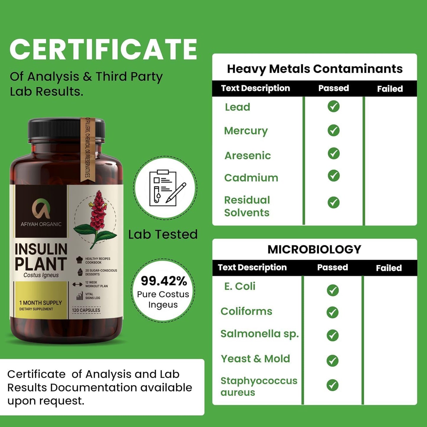 Afiyah Organic - Premium Quality Costus Igneus (Insulin Plant) Capsules - Easy to Swallow 120 Veggie Capsules (1 Month Supply) - Made in the USA - Including Complete Health Support Program - Maple Wellness Supplements
