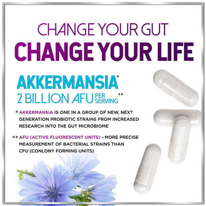 Akkermansia Probiotic - 2 Billion AFU per Serving - Best Strain for GLP-1 Production Support with Prebiotic Fiber for Natural Digestive & Gut Health - Maple Wellness Supplements