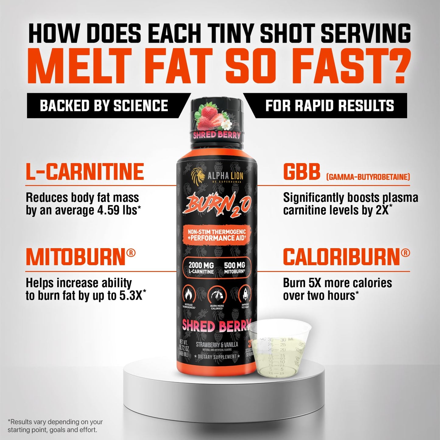 ALPHA LION Burn2O L-Carnitine Liquid 2000mg, Premium Liquid Fat Burner & Pre-Workout Supplement for Men & Women - Natural Energy & Metabolism Booster - Maple Wellness Supplements