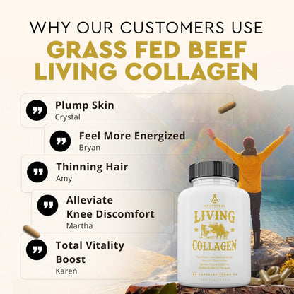 Ancestral Supplements Grass Fed Beef Living Collagen Nutritional Powder Supplement, 3000mg, Promotes Healthier, Younger Looking Skin, Hair - Maple Wellness Supplements