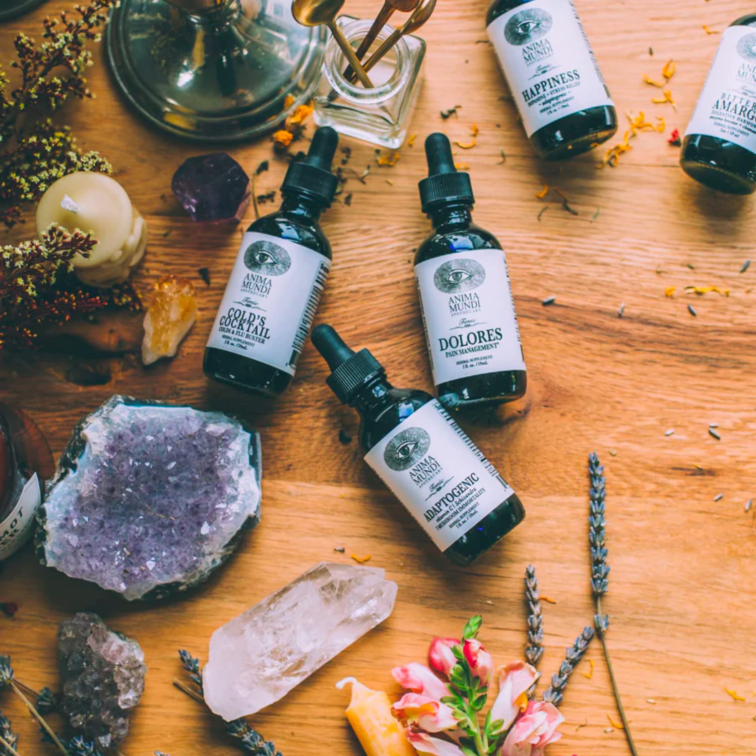 Anima Mundi Apothecary Dolores Tonic - Herbal Pain Management Supplement - Liquid Drops for Pain Management Support (2oz / 59ml) - Maple Wellness Supplements