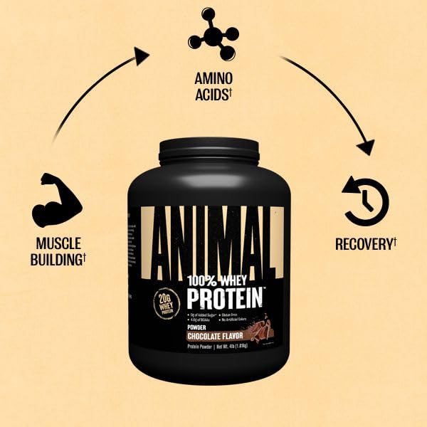 Animal 100% Whey Protein Powder – Whey Blend for Pre- or Post-Workout, Recovery - Maple Wellness Supplements