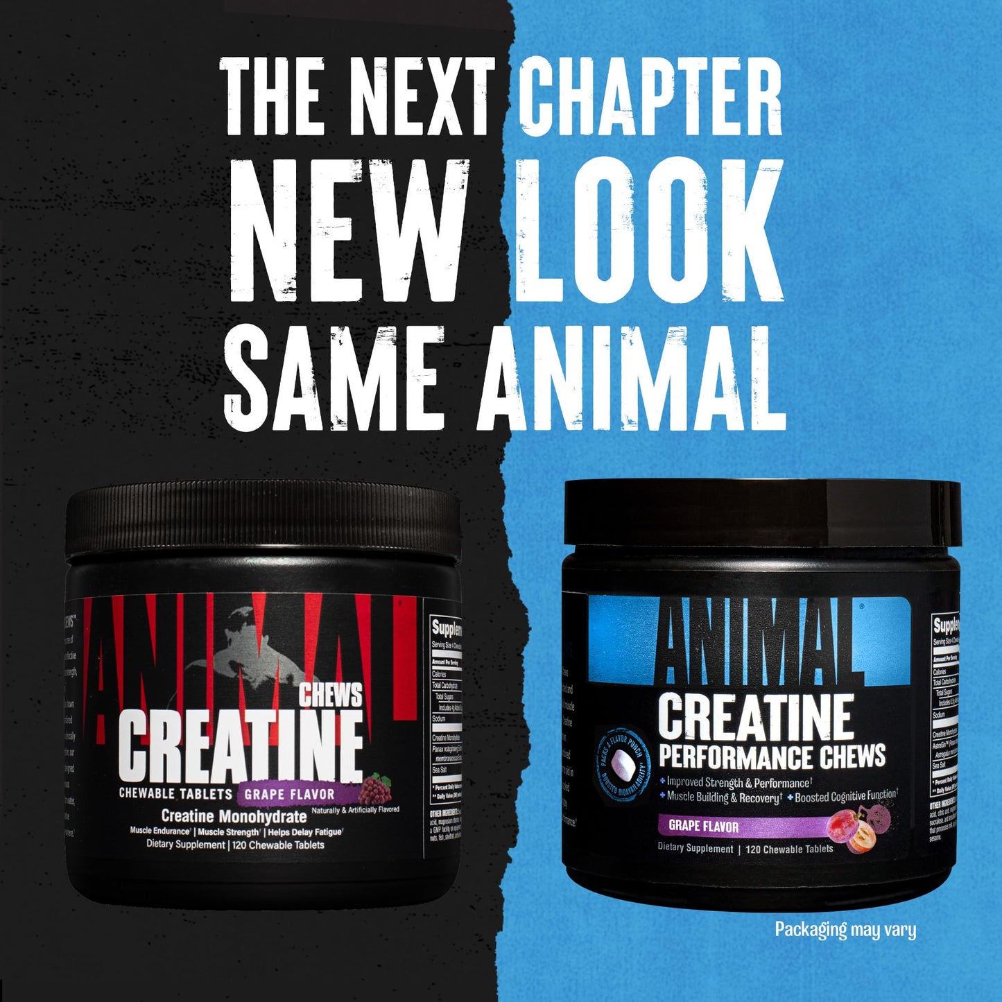 Animal Creatine Chews Tablets - Enhanced Creatine Monohydrate with AstraGin to Improve - Maple Wellness Supplements