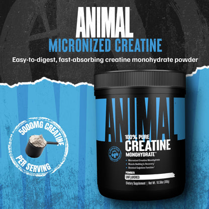Animal Creatine Monohydrate Powder — Micronized for Muscle Recovery, Cellular Energy, and Daily Wellness — for Men and Women - Maple Wellness Supplements