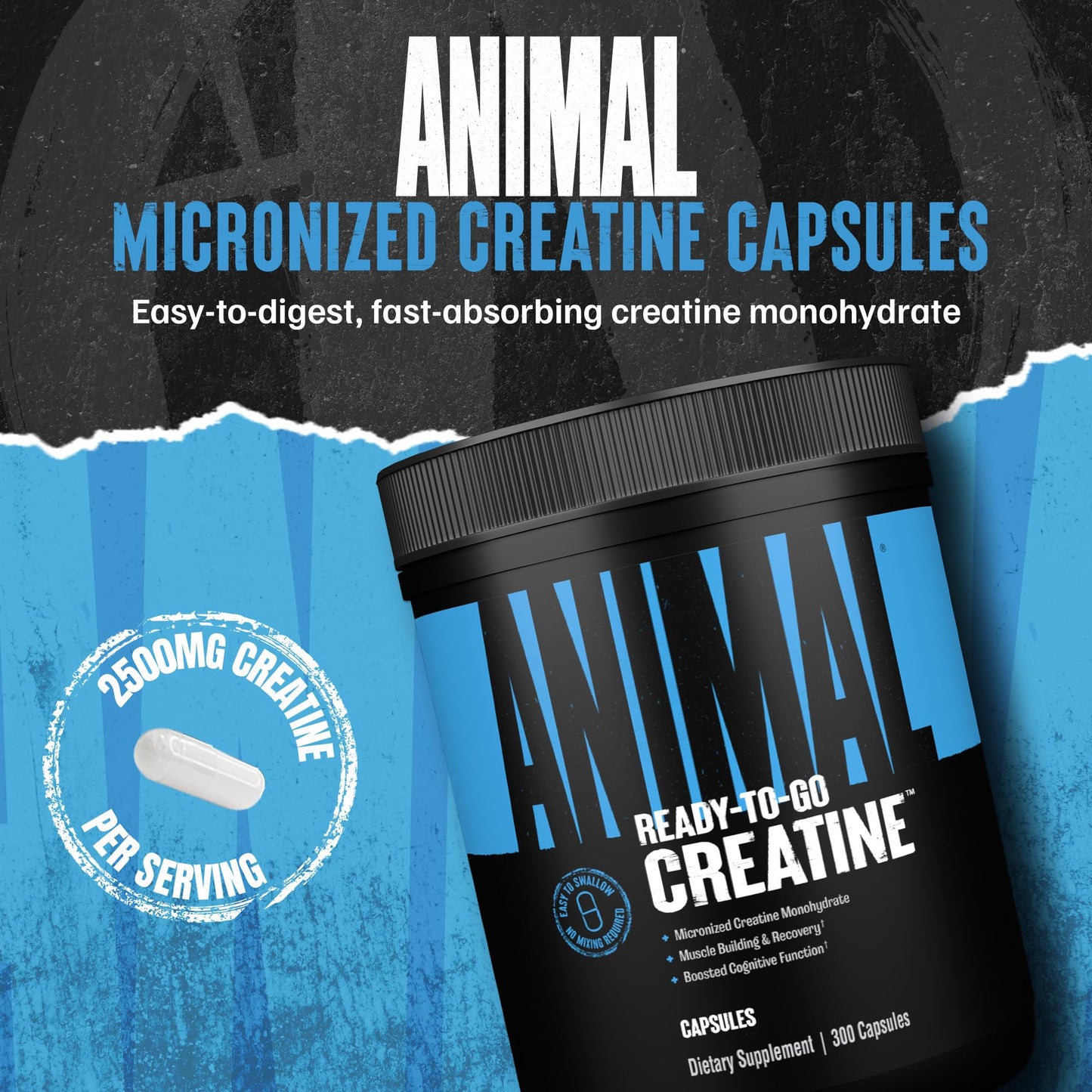 Animal Micronized Creatine Monohydrate Capsules - 300 Caps, 2500mg per Serving to Support Muscle Growth, Endurance, ATP Production, Cognitive Function, Strength - Maple Wellness Supplements