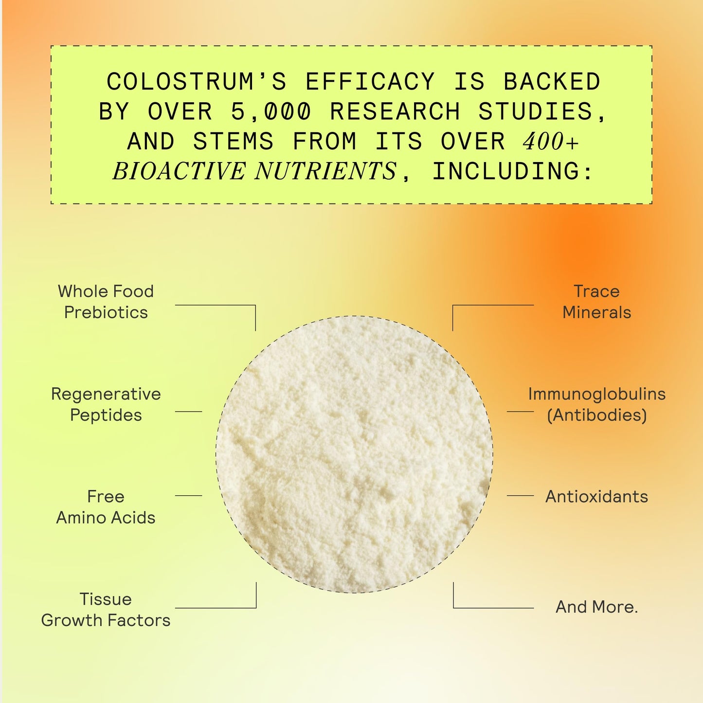 ARMRA Colostrum Powder | Blood Orange | Gut Health & Bloating | Skin & Hair | Immunity | Keto, Gluten & Fat-Free | 90 Servings - Maple Wellness Supplements