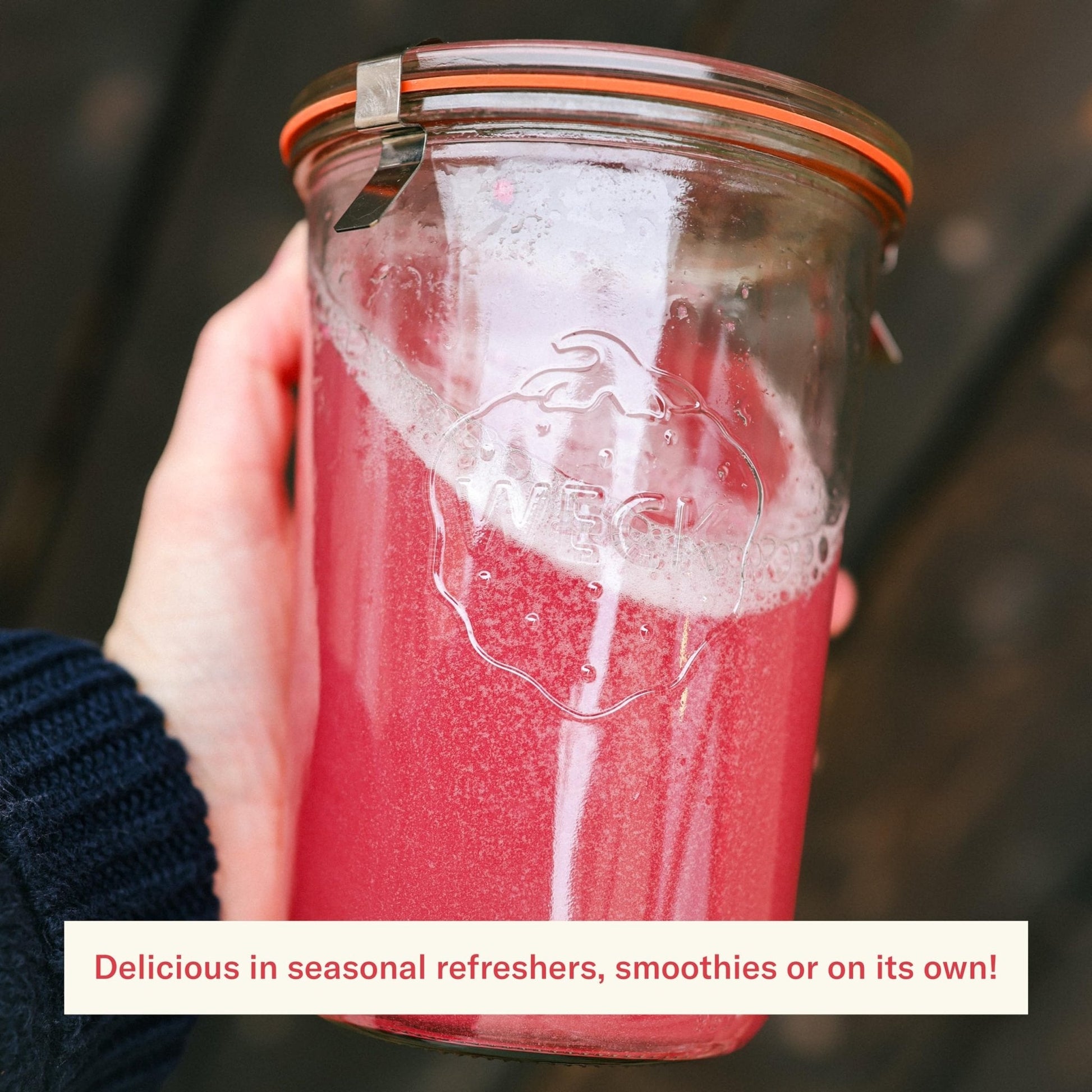 Ballerina Farm Farmer Hydrate, Daily Electrolytes Powder, Raspberry Lemonade, Hydration Drink Mix with Organic Coconut Water, Irish Sea Moss, Sea Salt, Prebiotic Fiber, No Added Sugar, 25 Servings - Maple Wellness Supplements