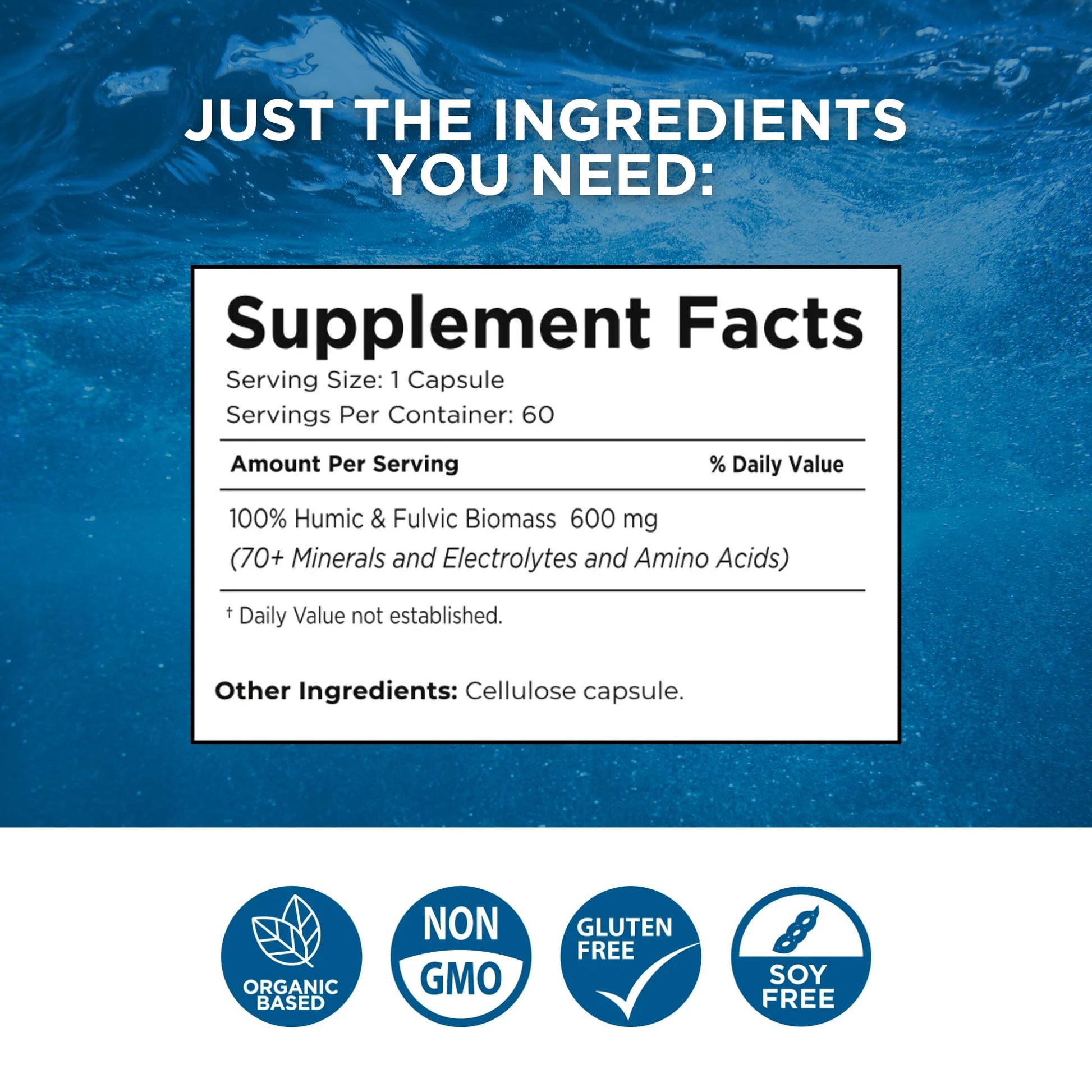 Beam Minerals Complete Multi-Mineral Capsules | Electro-Boost Plant-Based Electrolytes and Micronutrients for Men and Women | Help to Boost Immunity, Support Gut Health - Maple Wellness Supplements