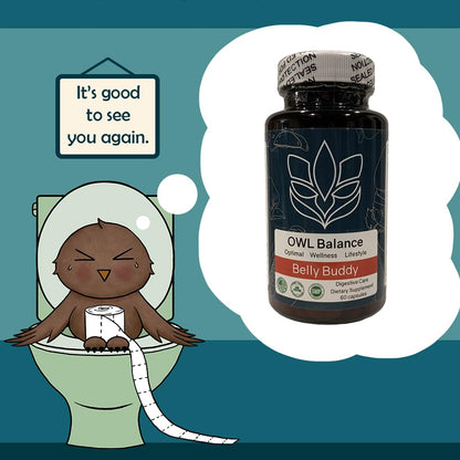Belly Buddy Advanced Gut Health Support containing a helthy Blend of Probiotics, Prebiotics, and Digestive Enzymes - Maple Wellness Supplements
