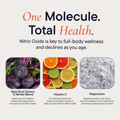 Berkeley Life Nitric Oxide Support Supplement - Nitric Oxide Booster for Men & Women - Blood Flow & Circulation with Beet Root Powder to Support Energy, Heart Health - Maple Wellness Supplements