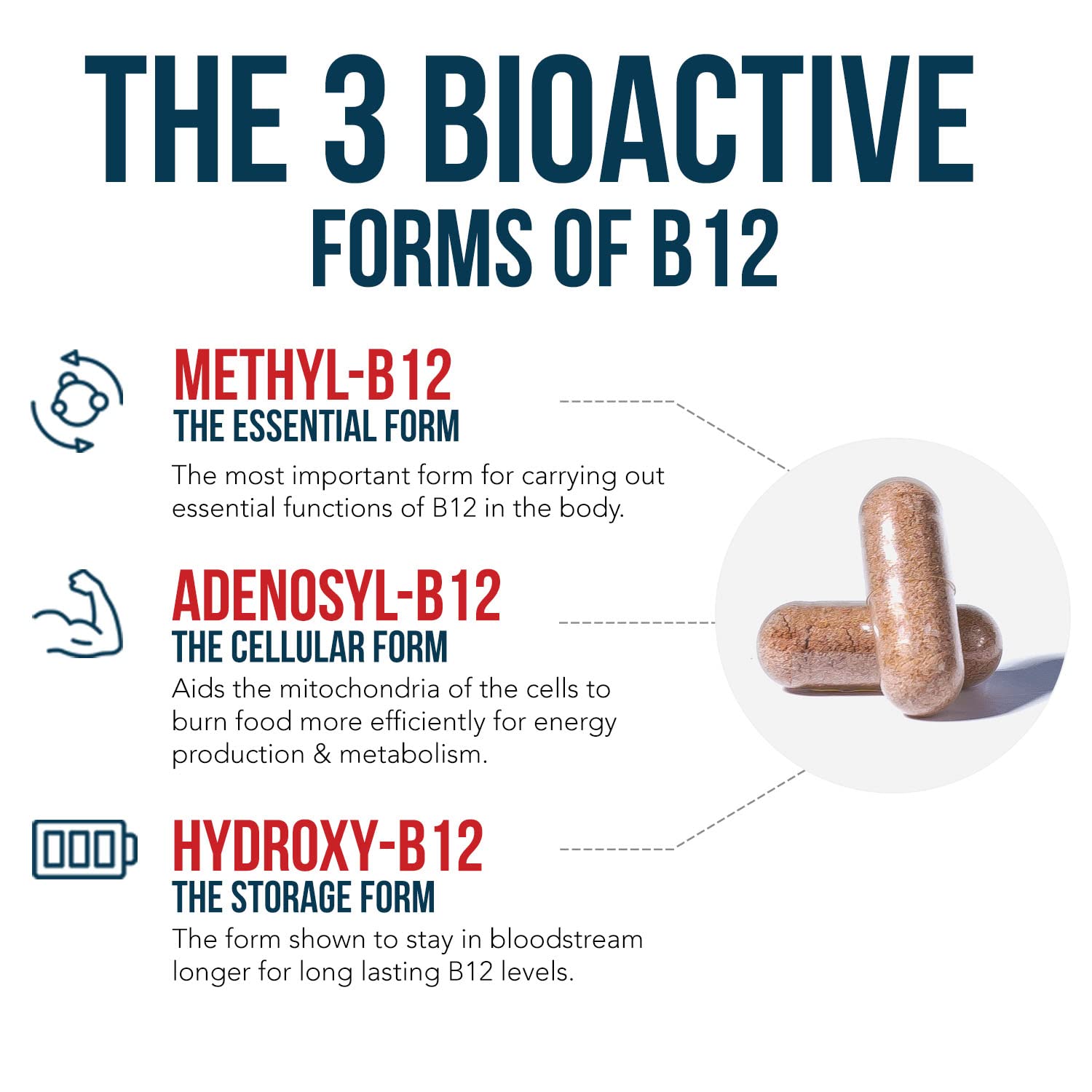 BioActive Vitamin B12 - 5000 mcg, Contains 3 BioActive Forms B12 Plus Methylfolate Cofactor - Methyl B12, Adenosyl B12 & Hydroxy B12 | Supports Energy - Maple Wellness Supplements